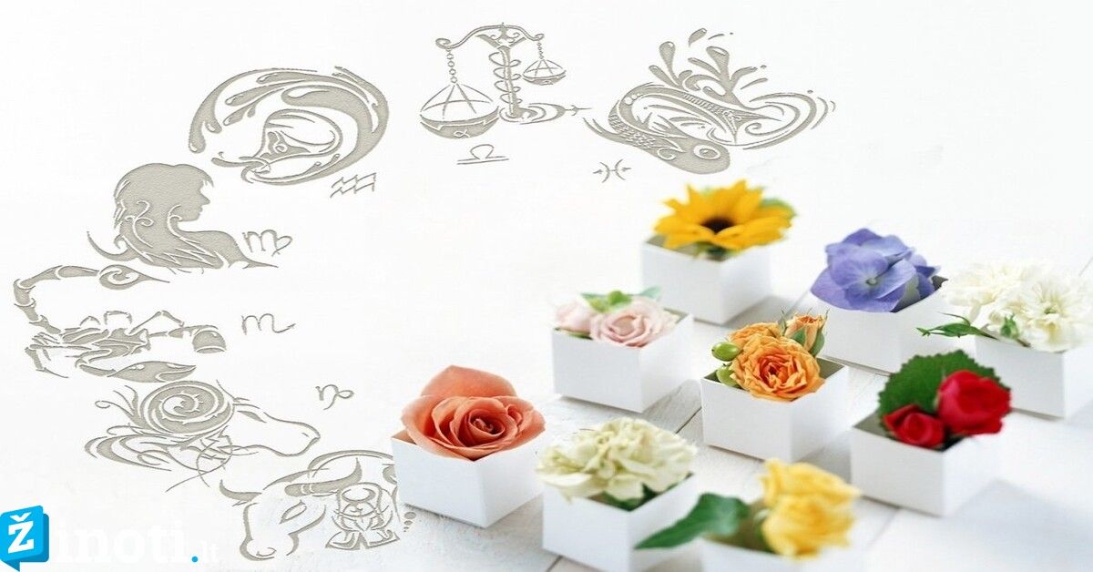 Kokias gėles dovanoti skirtingų Zodiako ženklų atstovėms?