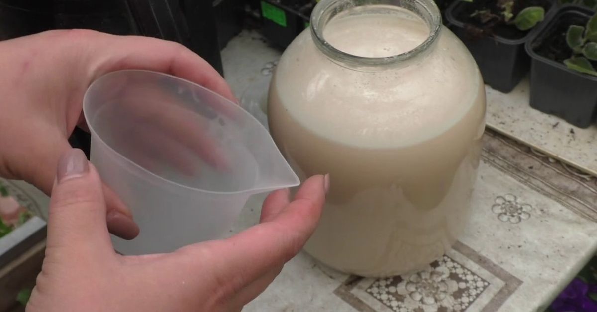 Nuostabiai veiksmingos trąšos sodo augalams pagal močiutės receptą