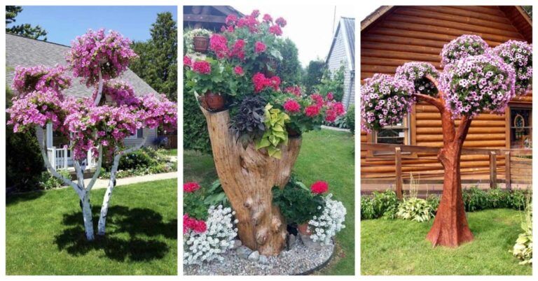 Idėjos, kaip senus medžių kamienus paversti gražiausiais gėlynais