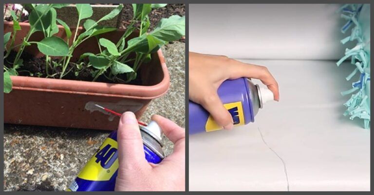 Neįtikėtini būdai, kaip galima „WD-40“ panaudoti sode ir namuose