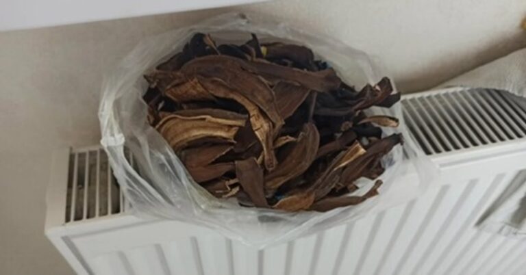 Džiovinta banano žievelė. Kam ją galite panaudoti?