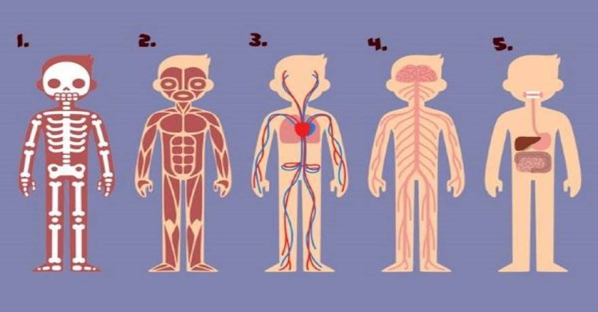 Kuri kūno dalis yra svarbiausia norint išgyventi? Atsakymas atskleis, ką jums reikia pakeisti gyvenime