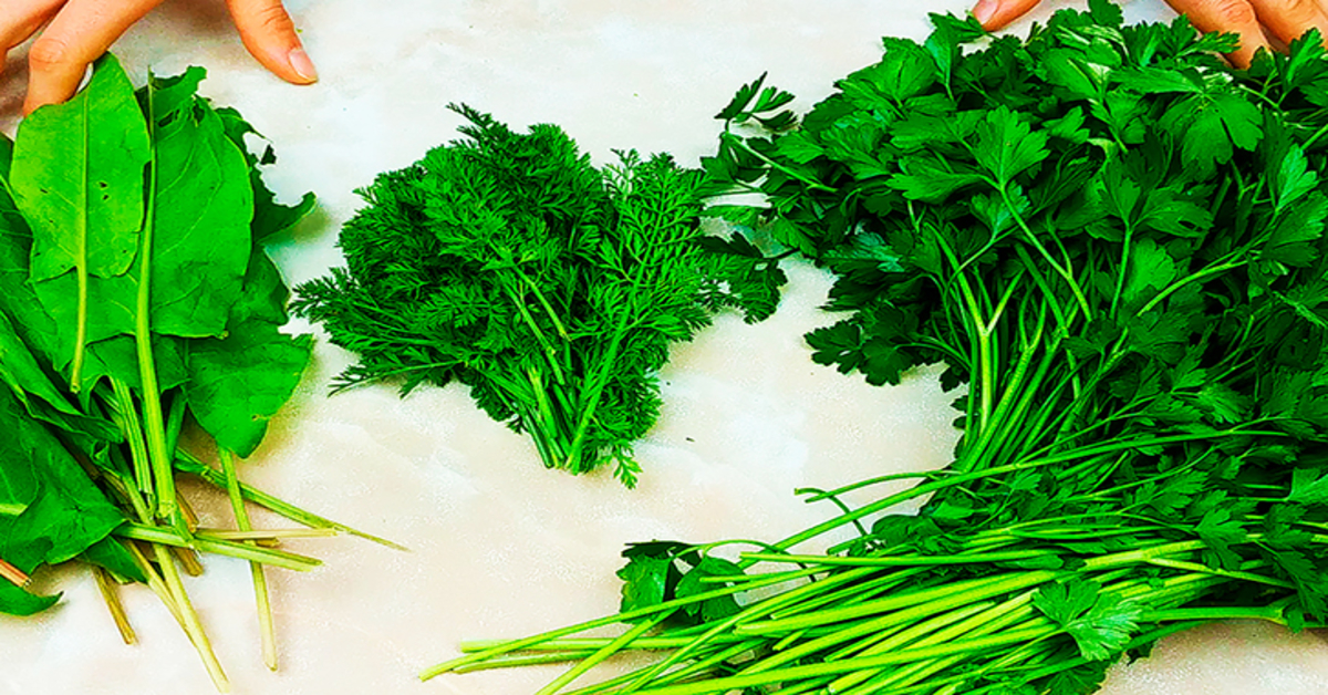 Sužinokite, kaip užšaldyti žalumynus išsaugant jų gaivumą ir šviežumą