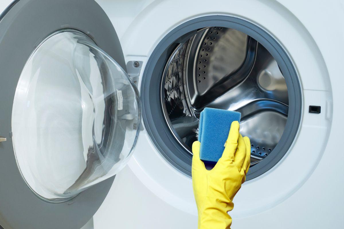 Kaip pašalinti šuns plaukus nuo drabužių? Išbandykite šį kempinės triuką!