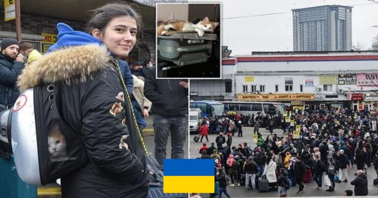 Žurnalistės iš Ukrainos papasakojimas: košmariškas karas ir išgyvenimas siaubingoje kasdienybėje