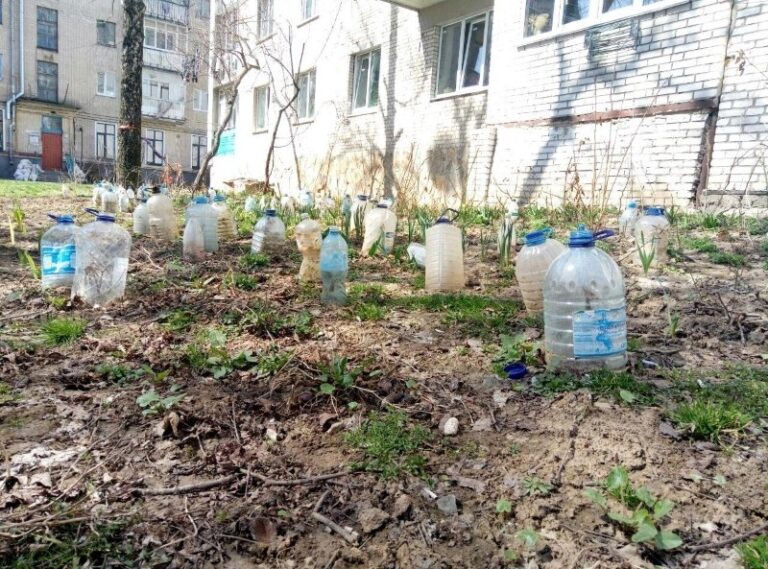 8 idėjos, kaip savo sode pritaikyti nereikalingus plastikinius butelius