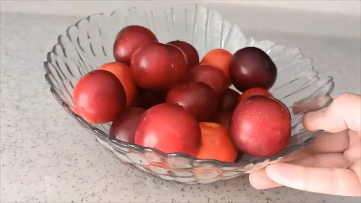 Slyvų desertas, kuriam paruošti nereikės cukraus: išbandykite!