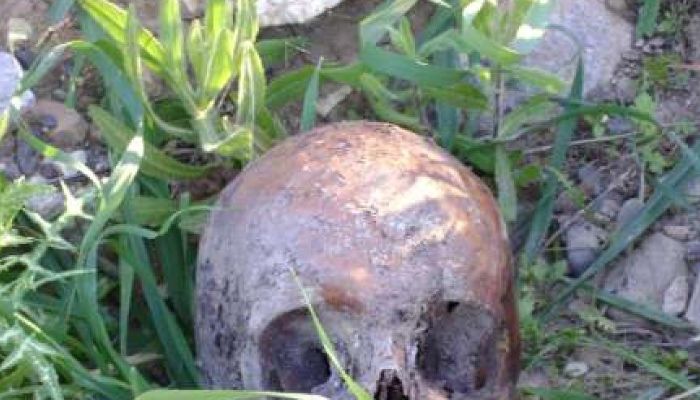 88 metų moteris buvo šokiruota, kai savo gėlių darželyje rado žmogaus kaulų