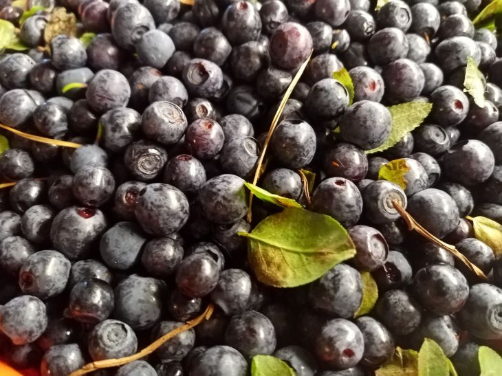 Šie 5 maisto produktai padeda numesti svorio net ir nesilaikant dietos