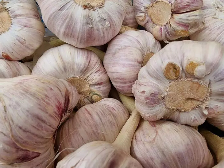 Kada geriau valgyti česnaką: ryte arba vakare?
