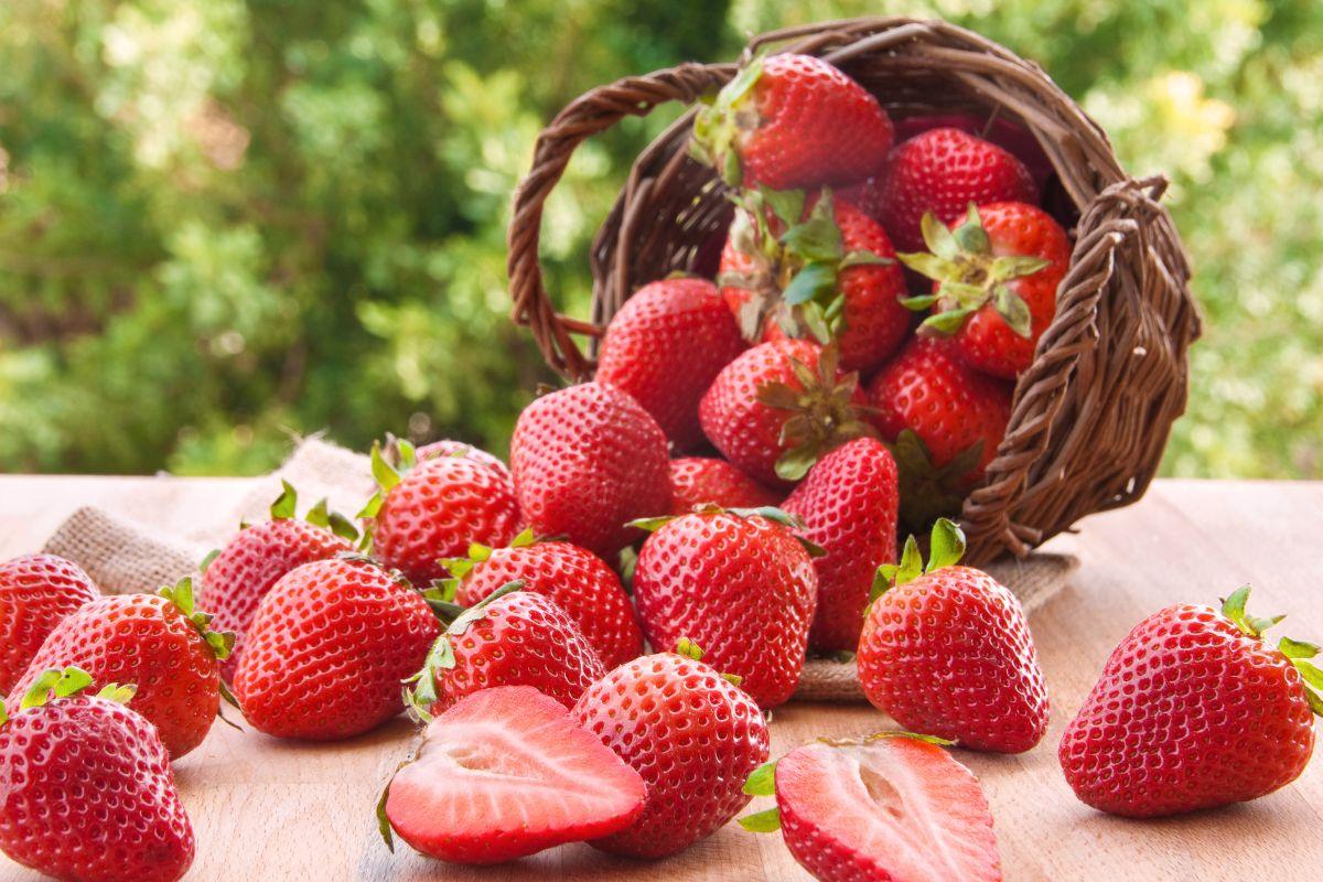 Veiksmingos natūralios trąšos braškėms: padidinkite derlių be chemijos