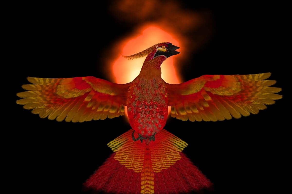 Sielos simbolis pagal gimimo mėnesį – sužinokite, ką jis atskleidžia apie jus