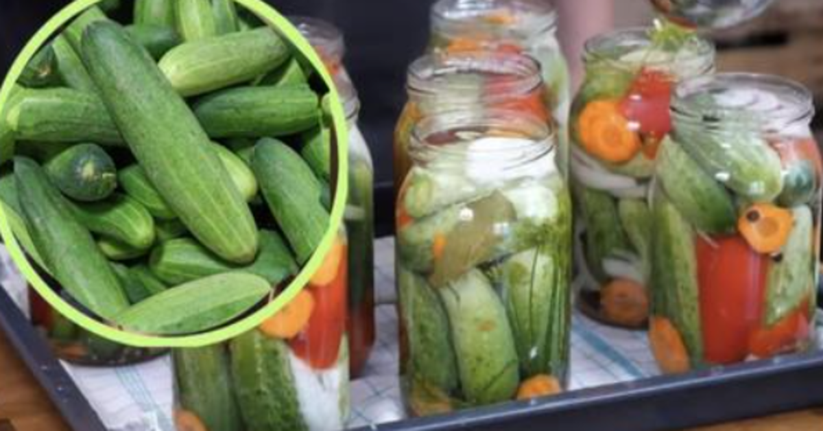 Nėra nieko geriau už skanius, naminius raugintus agurkus. Naudosite tik šį receptą!