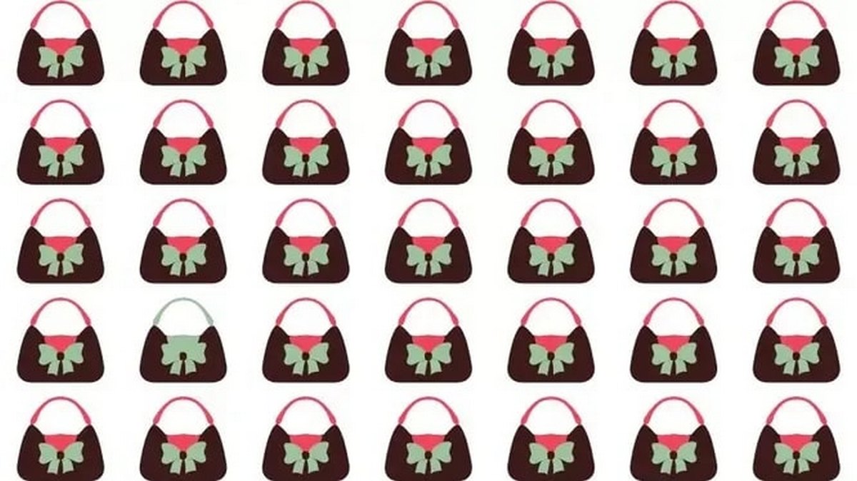 Testas mados gerbėjams: raskite kitokį rankinuką