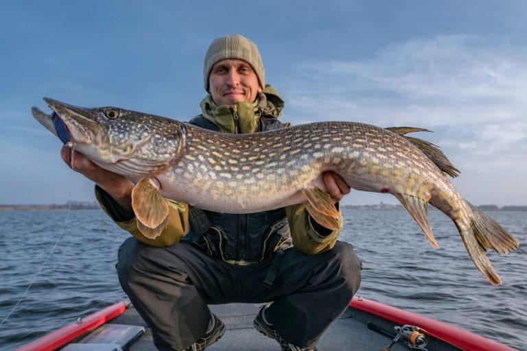 2025 m. vasarį sėkmės sulauks 4 Zodiako ženklai