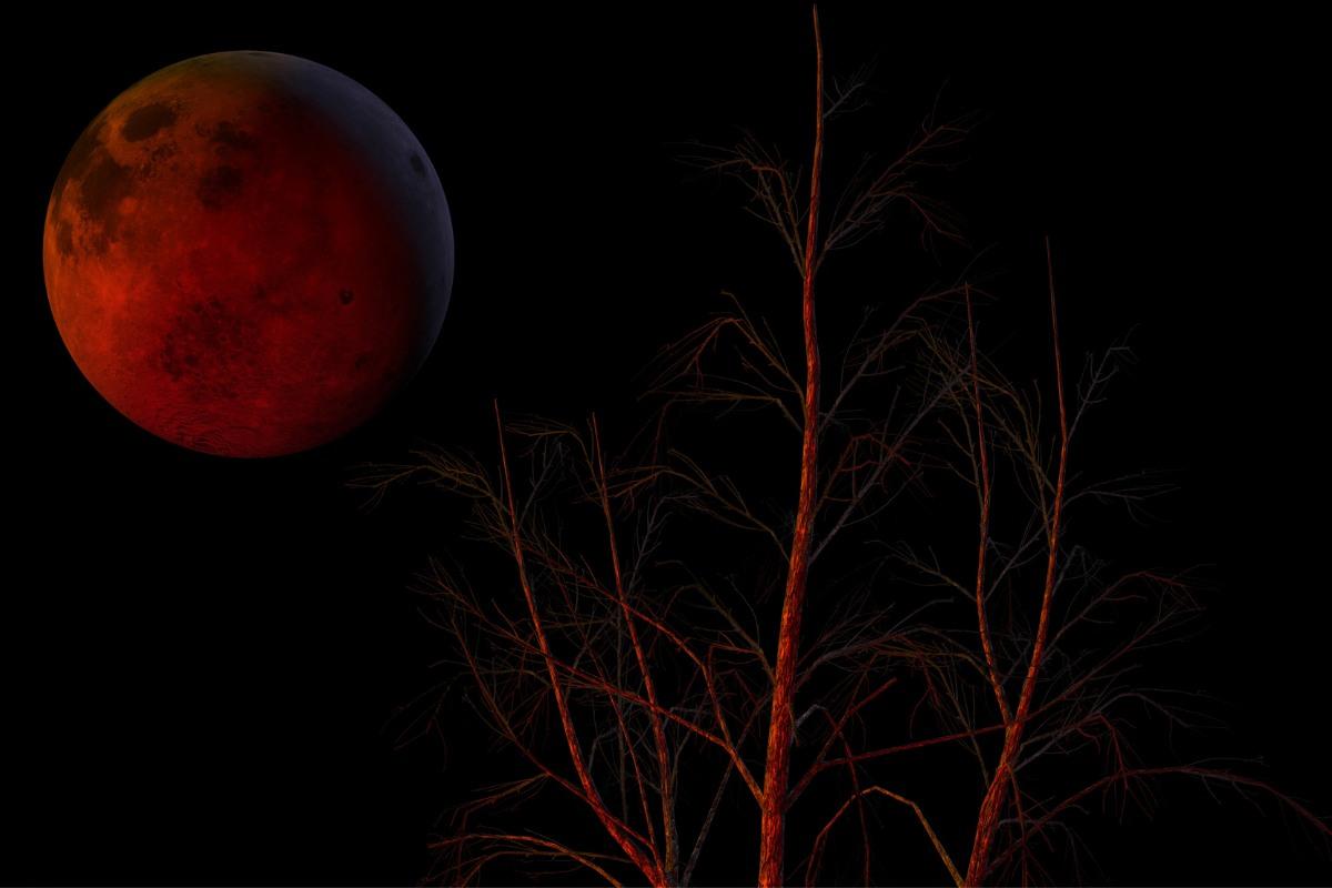 Kruvinoji Kirmino pilnatis 2025 m. kovo 14 d.