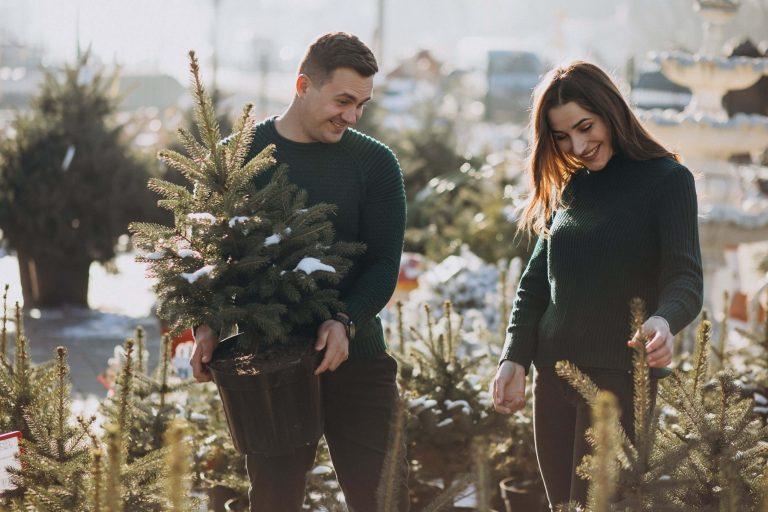 Ketvirtadienio dangaus susitikimas (kovo 27 d.): Ar gali Vandenio vėjai susijungti su Mergelės žemiška malone harmoningai sąjungai?