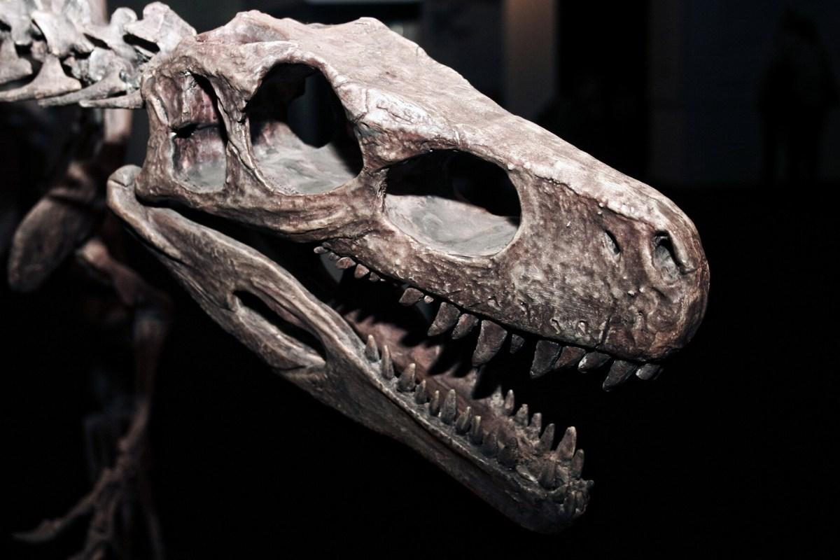 Dinozaurai: naujausi tyrimai, išnykimo priežastys ir įdomūs faktai