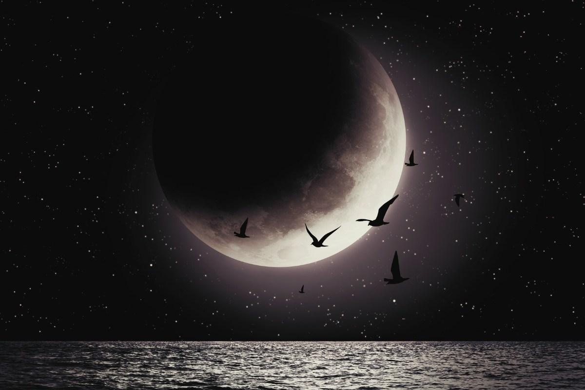 Juodasis mėnulis Skorpione 2025