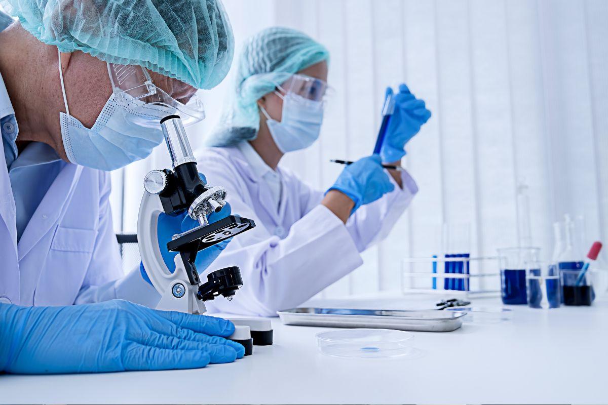 Mikrobiotos transplantacija: kas tai, kaip atliekama ir kokią naudą teikia sveikatai