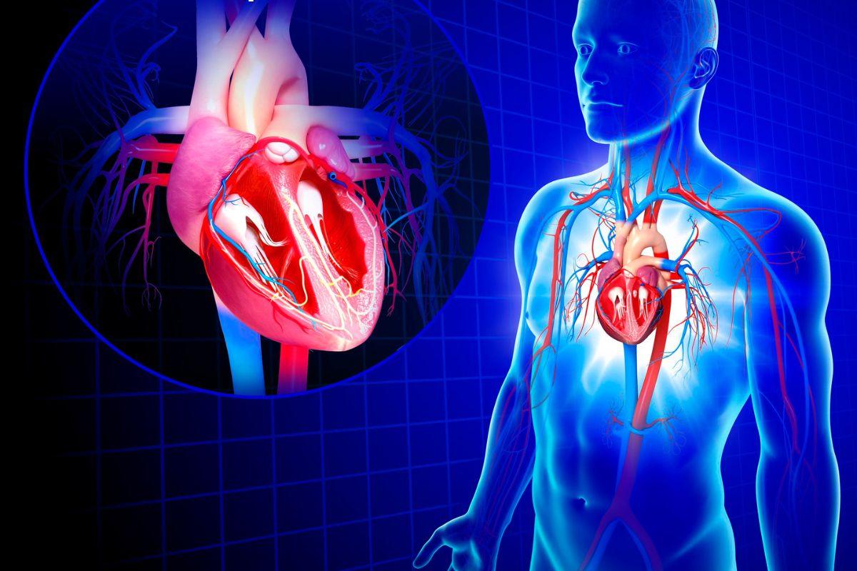 sveikata fizinio krūvio metu