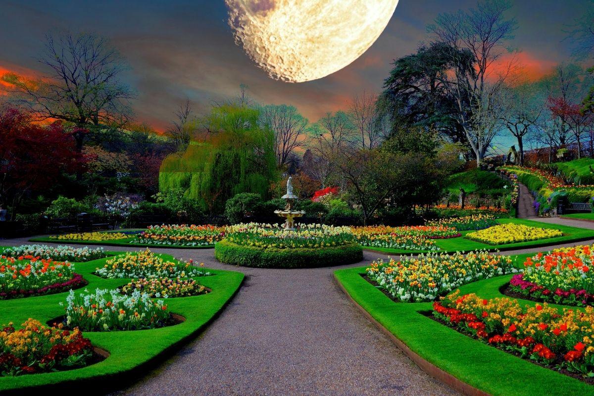 Sužinokite, kada sodinti daržoves, bulves, vaismedžius ir gėles gegužės mėnesį pagal Mėnulio kalendorių – svarbiausios palankios ir nepalankios dienos.