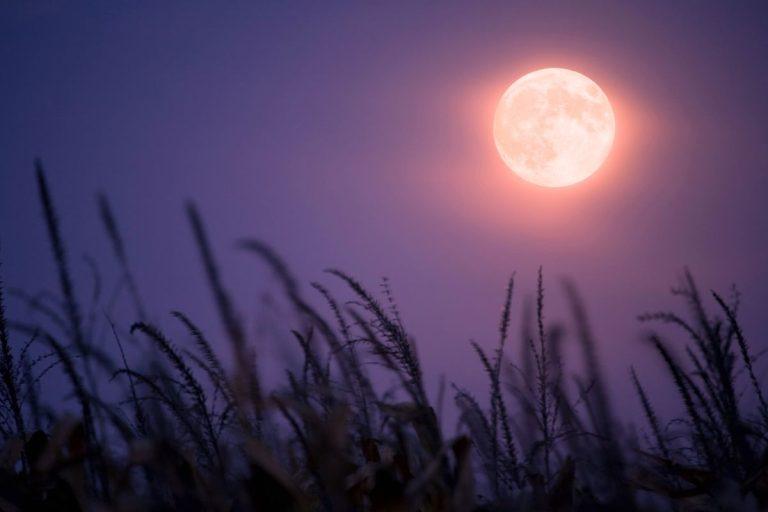 Birželio pilnatis 2025: kokiems Zodiako ženklams ji atneš lemtingą proveržį?