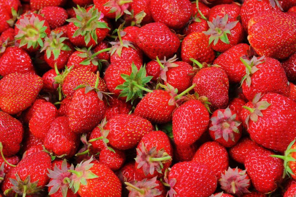 Kada geriausia persodinti braškes?