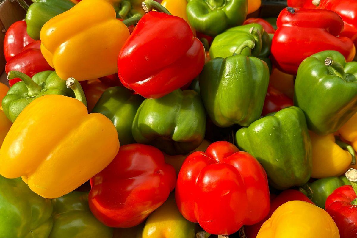 Kaip laikyti paprikas rudenį, kad išliktų šviežios iki gruodžio
