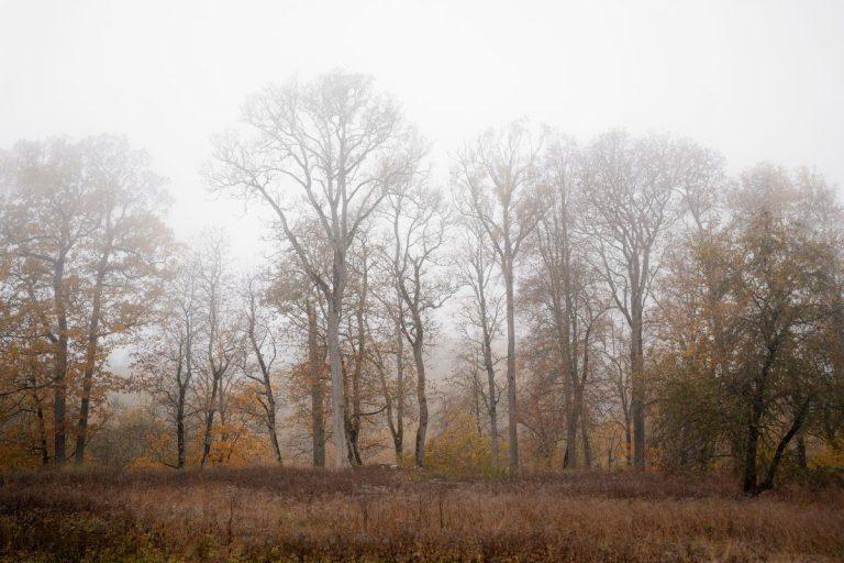 Lapkritis atvers naujas galimybes šioms 4 Zodiako ženklams
