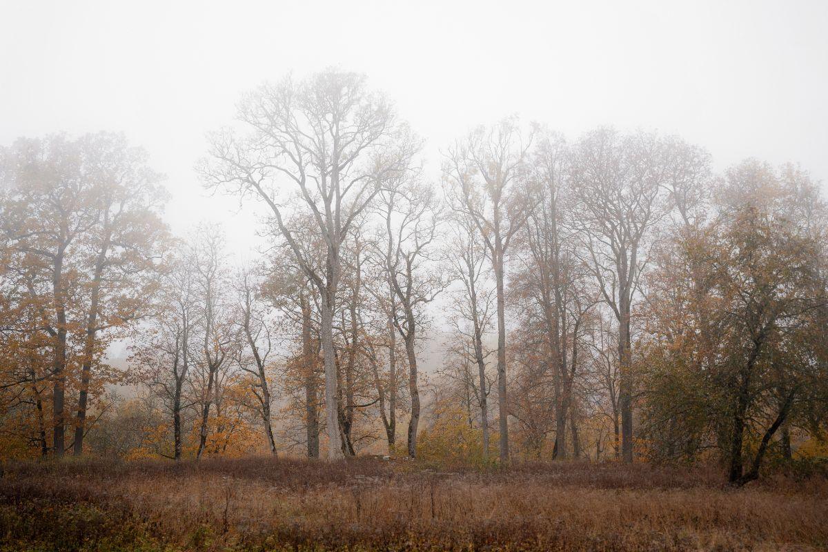 Lapkritis atvers naujas galimybes šioms 4 Zodiako ženklams