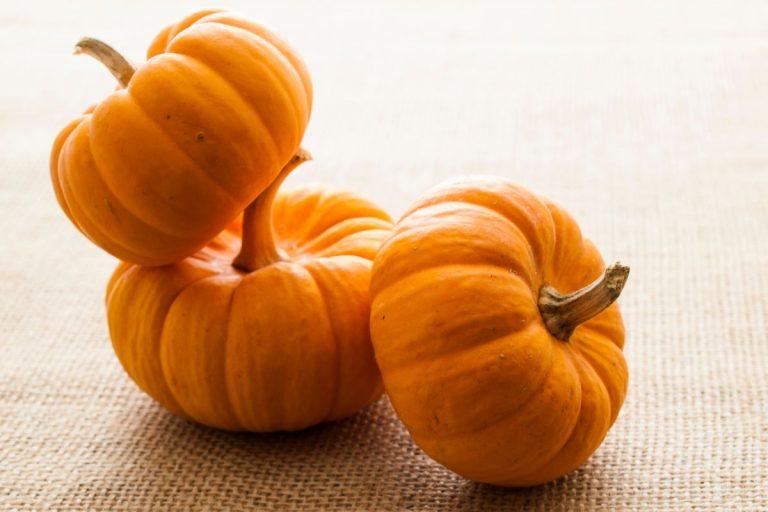 Kaip pasirinkti skanų moliūgą: patarimai, kurių verta laikytis rudenį