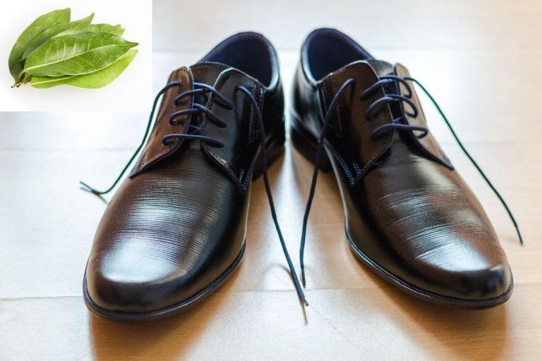 Kodėl verta dėti lauro lapus į batus nakčiai: paprastas būdas pašalinti kvapą