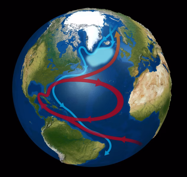 Atlanto cirkuliacijos scheminis vaizdas