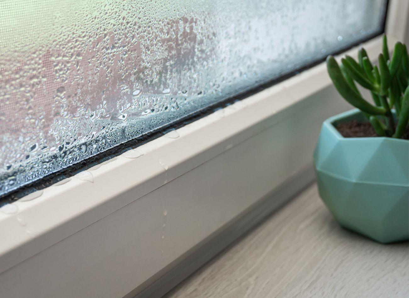 Kondensatas ant langų