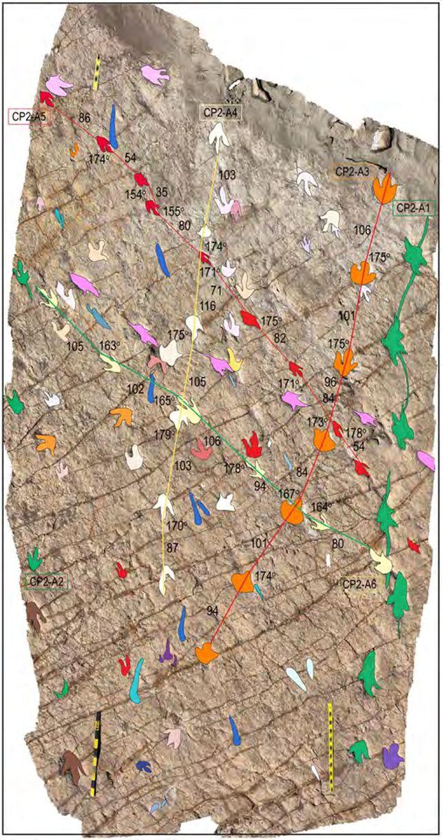 Dalis Carreras Pampa pėdsakų lauko