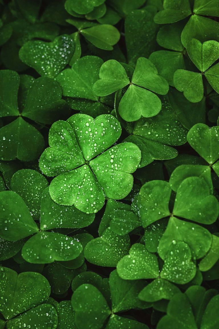 Antradienis Geroji Ženklas (Gruodžio 2): Atraskite Slaptą Sėkmę su Šiais Zodiako Linkėjimais Šiandien!