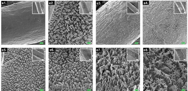 Panel of images showing microscopic structure of treated and untreated fabric samples.