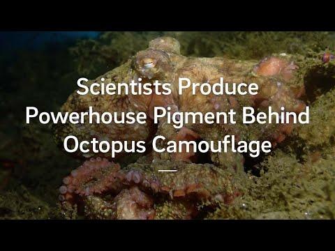 Mokslinio eksperimento iliustracija