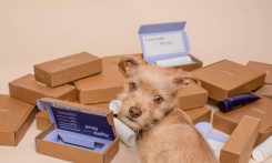 brown wooden box lot