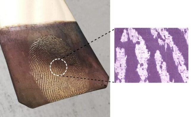 Piršto atspaudas ant žalvarinio paviršiaus