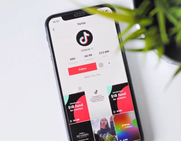 „TikTok“ programėlė telefone