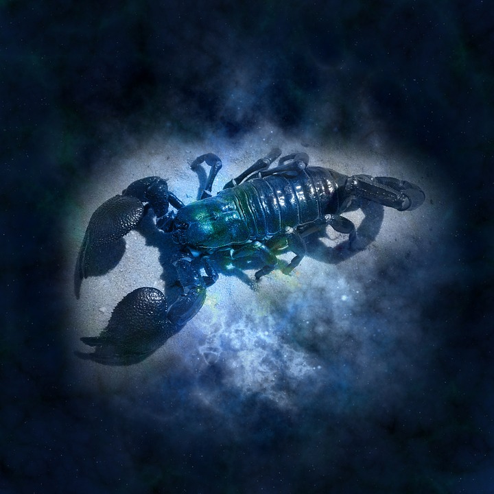 Zodiako ženklai