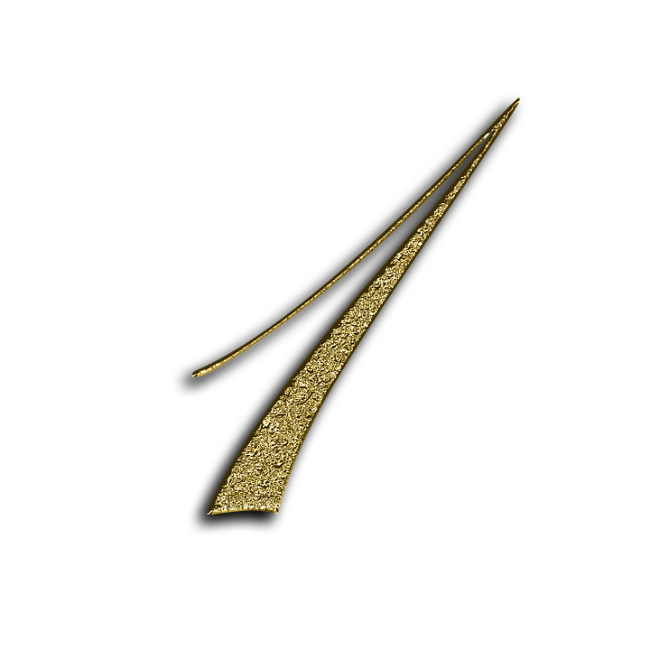 numerologas