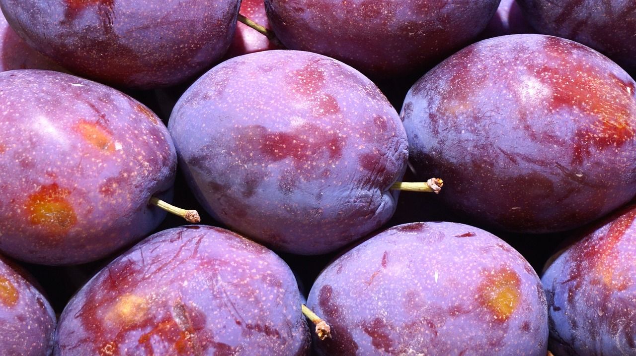 košė