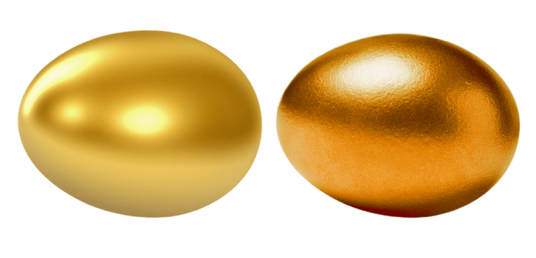 dalykai