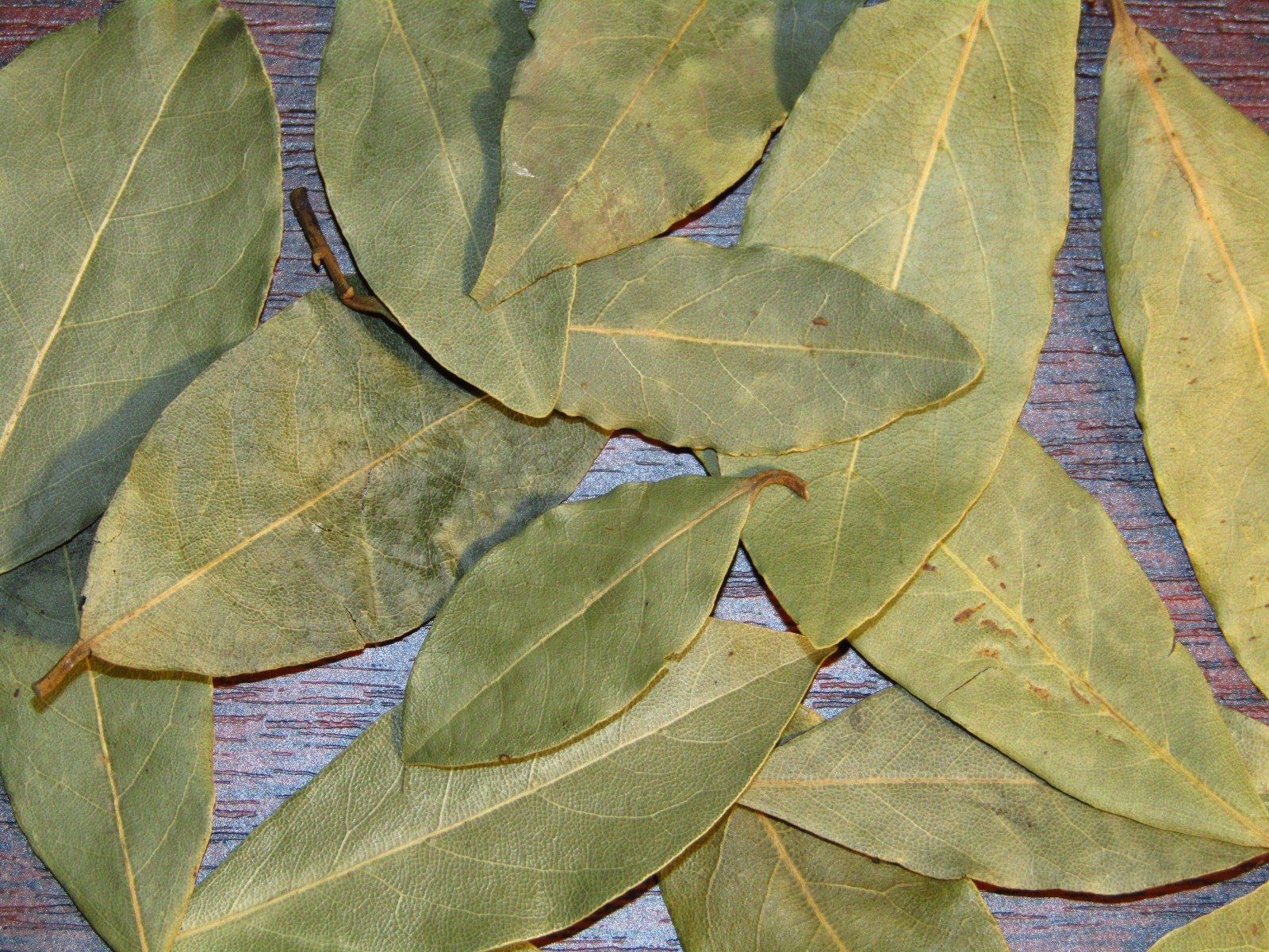 lauro lapai