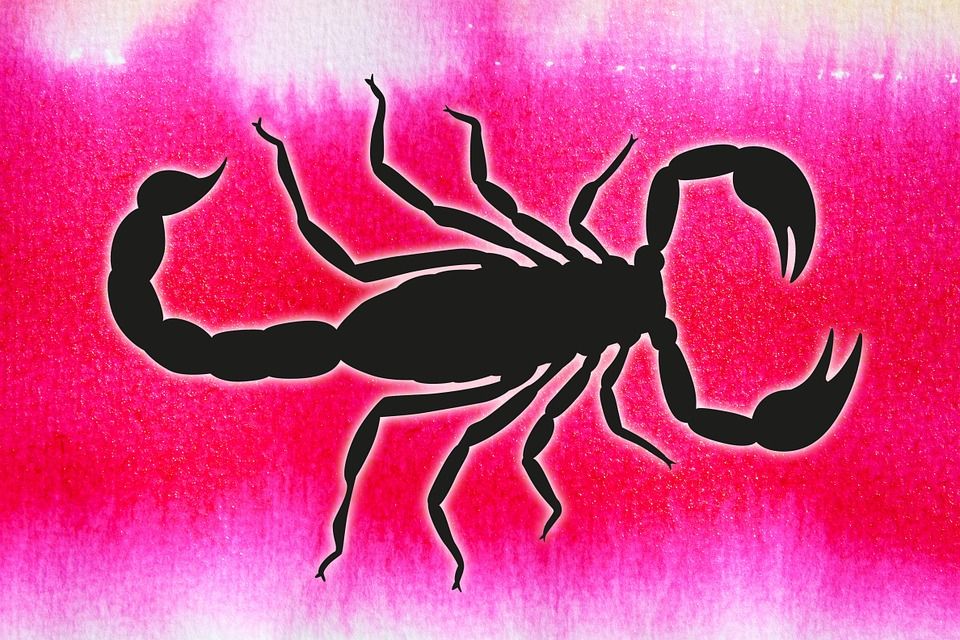 Skorpiono