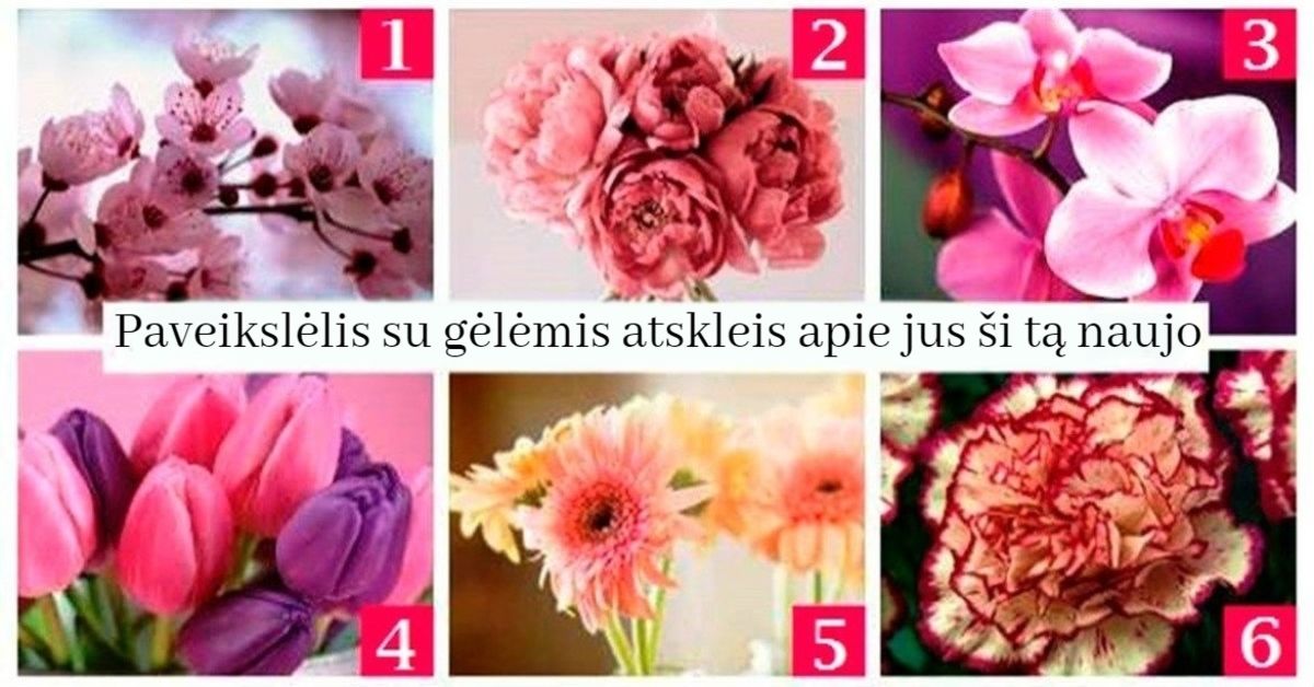 Testas: pasirinktas paveikslėlis su gėlėmis atskleis apie jus ši tą naujo
