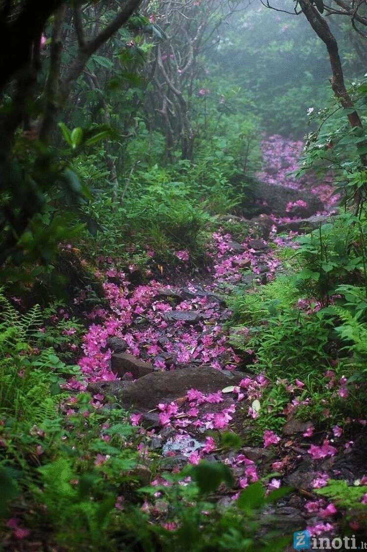takai